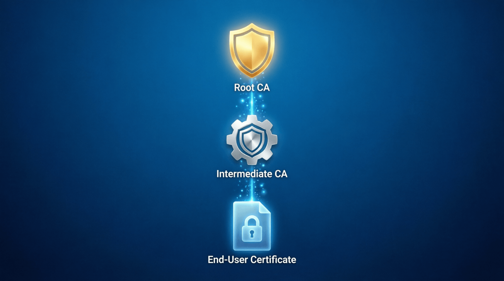 DV vs OV vs Wildcard SSL Comparison